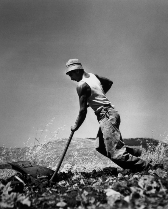 Robert Capa, Near Jerusalem. 1949. A French Jewish immigrant planting a vineyard.